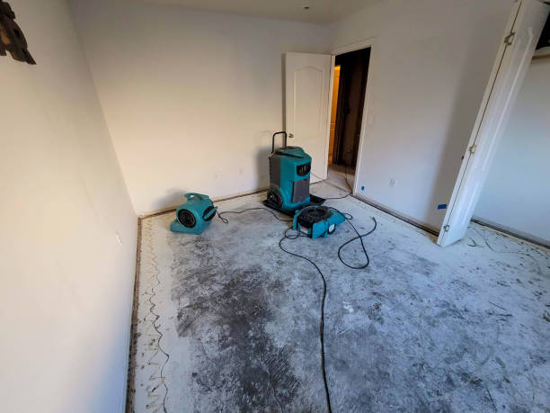 Best 24-hour water damage restoration  in Troy, NC